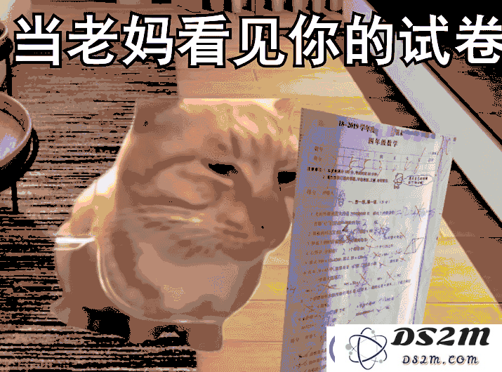 猫咪梗在网络世界中占据重要地位，它们永远是人们生活中的趣味调味品