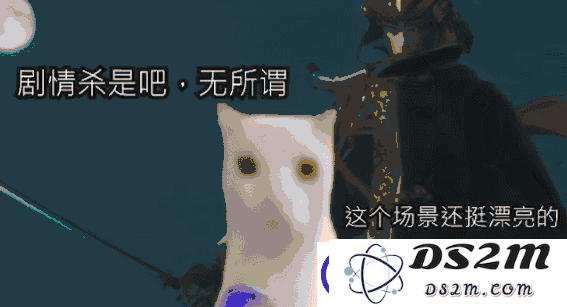 占据互联网大半的猫梗