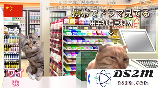 占据互联网大半的猫梗