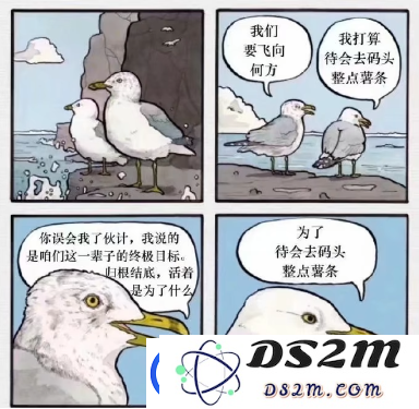 占据互联网大半的猫梗