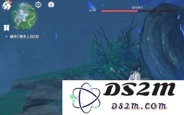 原神雾海纪行雾海与树之祭