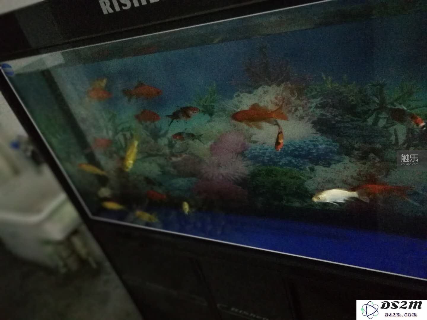 那些奉献热情与汗水的女人们：开网游工作室的日常与挑战