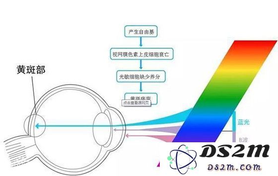 手机中的“护眼模式”真的能有效保护眼睛吗？