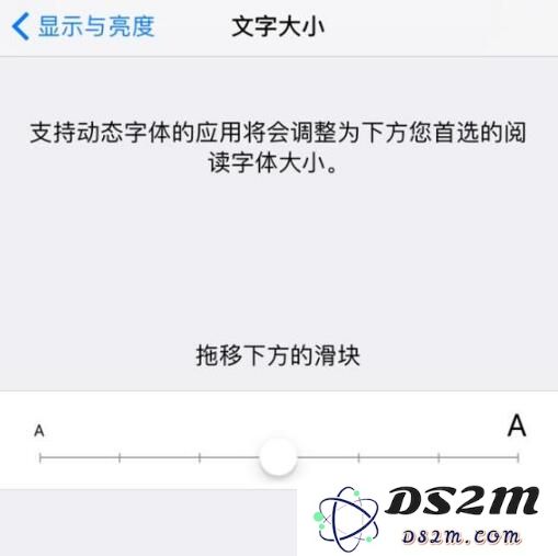 iPhone 用户必看！轻松放大文字的两大实用小技巧大揭秘