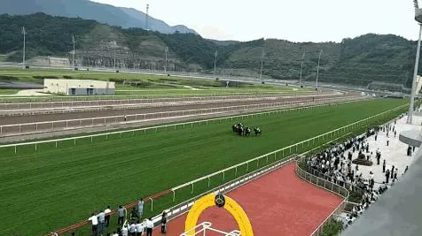 2025最新动态»绝地求生性能优化解析，独家内幕消息速看！