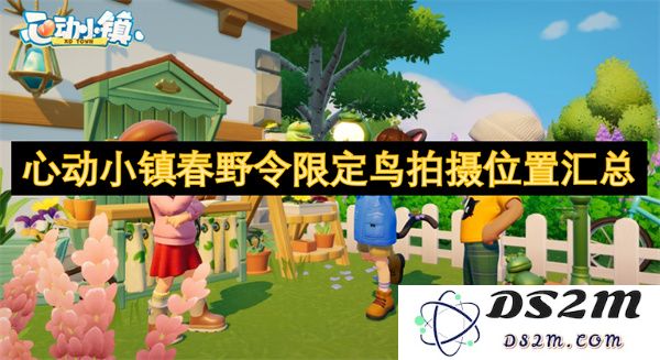 心动小镇春野令限定鸟类拍摄地点详细汇总及最佳拍摄技巧