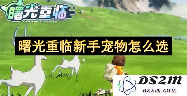 新手玩家在曙光重临中如何选择合适的宠物指南