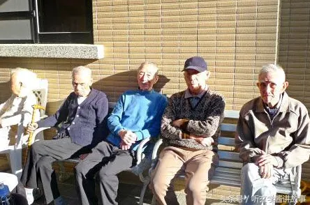 爆款全网刷屏禁忌领域开启