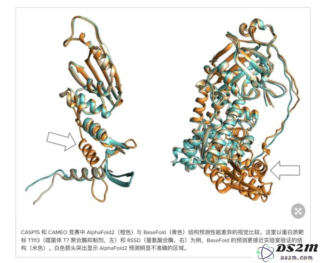 比AlphaFold 2还强，AI生物医药创企获6000万融资，打造「生物学GPT」