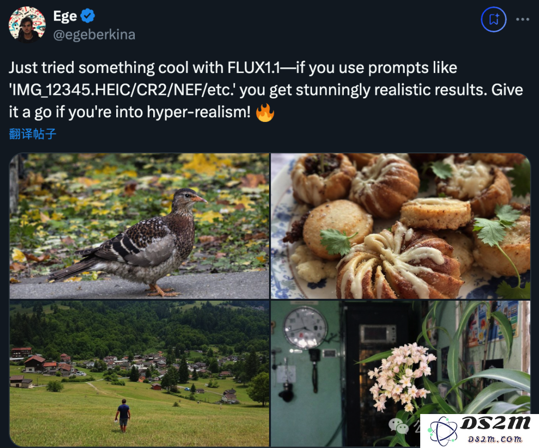 最新AI生图模型Flux1.1刷屏！添加单反相机文件名获得超写实图像，网友：我分不清啊