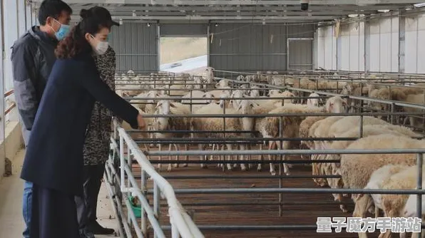 2025最新动态»羊了个羊文化本地化，开发者专访速看！