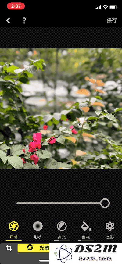 如何在 iPhone 7/8 Plus/X 的照片编辑中巧妙添加景深效果