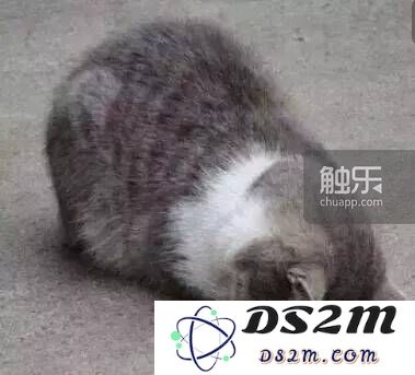 那些在2016年悄悄溜进你钱包的游戏——分享你的年度游戏消费明细
