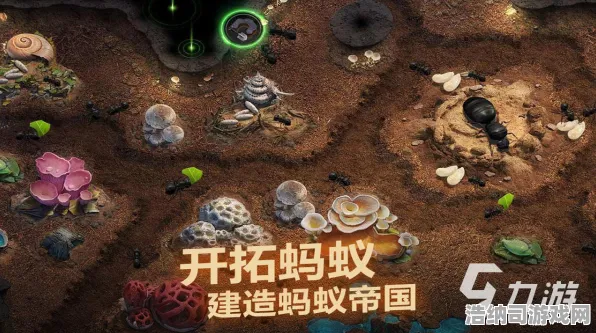 暗影笼罩大陆征服全球争霸