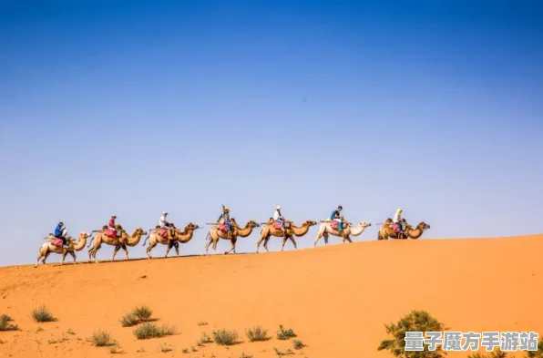 《蚂蚁森林》2025发售日确认！配置需求公布独家内幕消息