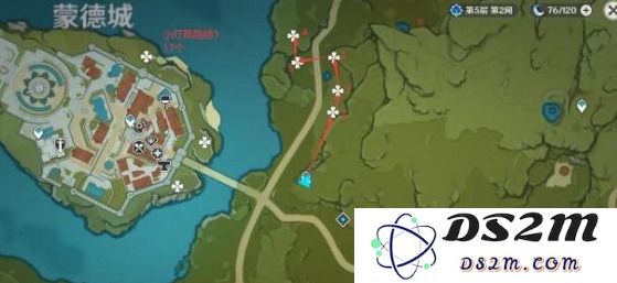 原神小灯草采集路线