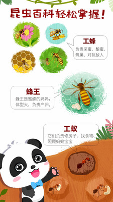 奇妙昆虫世界小游戏官方版 v9.86.00.00 安卓版 3