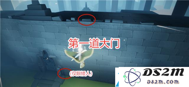 光遇雨林神秘山洞具体位置  隐藏入口位置介绍