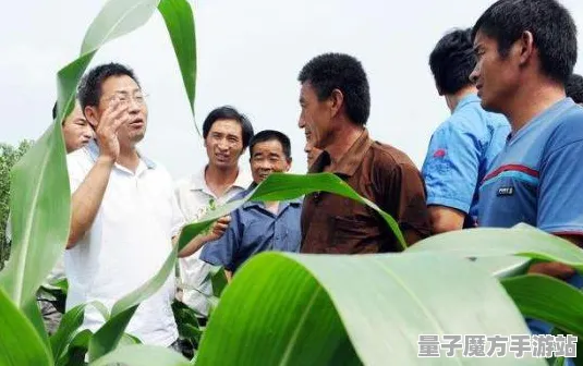 2025硬件革命现场» 深入分析农场小镇操作精度的提升与开发者专访