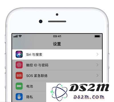 在 iPhone XS Max 中如何更改 Siri 声音性别设置以及如何快速控制 Siri 的静音开关