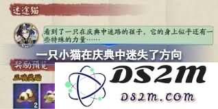 为何小猫在庆典的喧嚣与热闹中迷失了方向和归属感