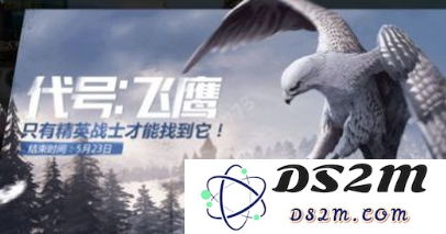 和平精英中的代号飞鹰具体是什么含义？详细获得方法及技巧介绍