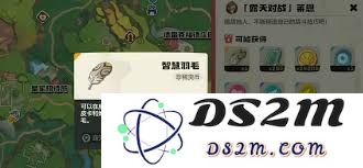 洛克王国中如何在世界莱恩的战斗中取得胜利的攻略与技巧