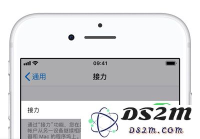 关闭 iPhone XS Max 中最烦人的 5 项功能