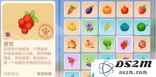 摩尔庄园手游荔枝怎么得到