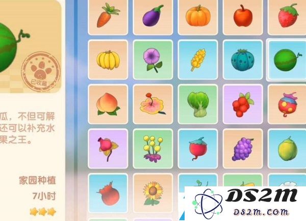 摩尔庄园手游斑点鲨在哪里