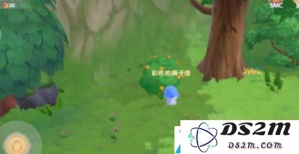 摩尔庄园手游的七彩蓝莓汤食谱配方