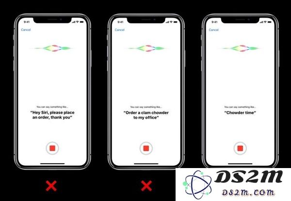 嘿 Siri ，你能帮我做什么？