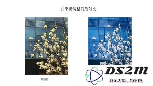 学会这 5 个技巧，iPhone X 就能拍出和单反一样的照片
