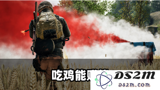 如何通过游戏实现个人财富梦想？吃鸡玩家的致富之路揭秘