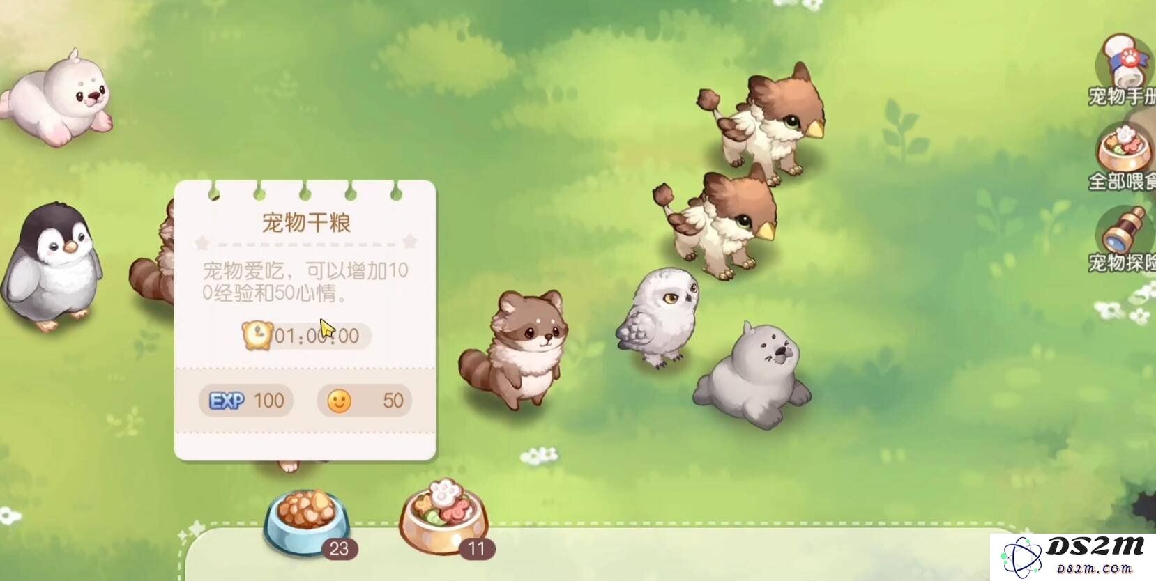 奥比岛手游游戏中宠物怎么升级 宠物升级技巧：轻松提升，畅享乐趣！