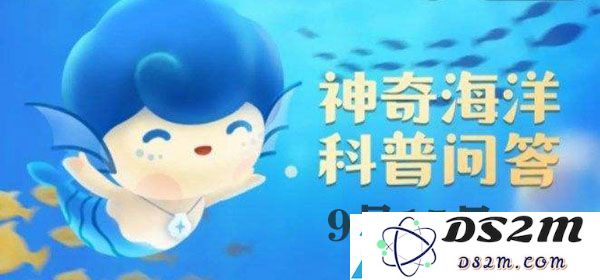 神秘海域最新解答9.15：探索海洋贝类“砗磲”的名字由来以及其在游戏剧情中的选择与后果分析
