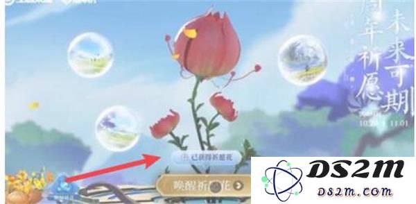 《王者荣耀》祈愿花获取方法：轻松获取心仪皮肤，你知道多少？