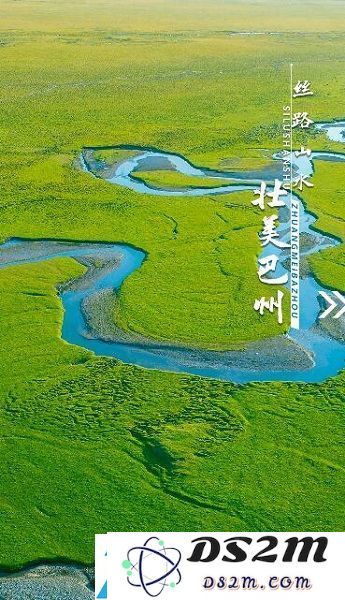 我的巴州APP下载教程