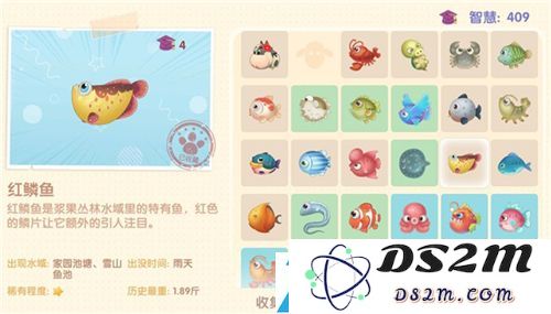 摩尔庄园手游所有鱼图鉴大全最新
