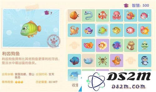 摩尔庄园手游所有鱼图鉴大全最新