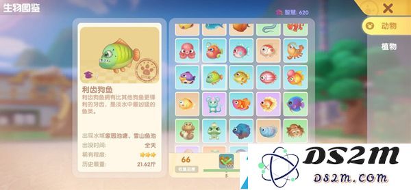 摩尔庄园手游硬翅桂花鱼在哪钓