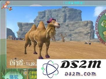 创造与魔法游戏中骆驼位置在哪 骆驼位置说明：揭秘游戏中骆驼的绝佳坐标