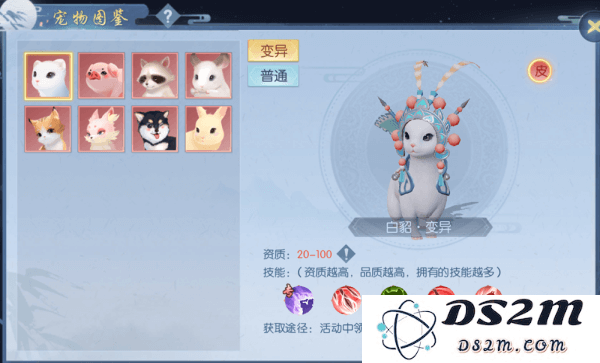 浮生为卿歌的宠物攻略