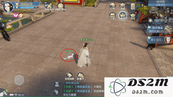 浮生为卿歌的宠物攻略