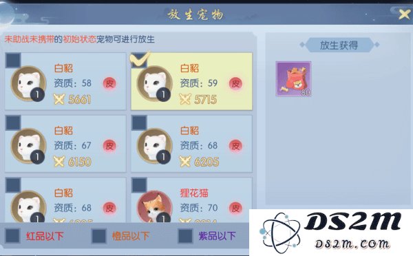 浮生为卿歌的宠物攻略