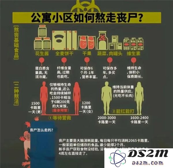 我在末世开超市对抗丧尸攻略