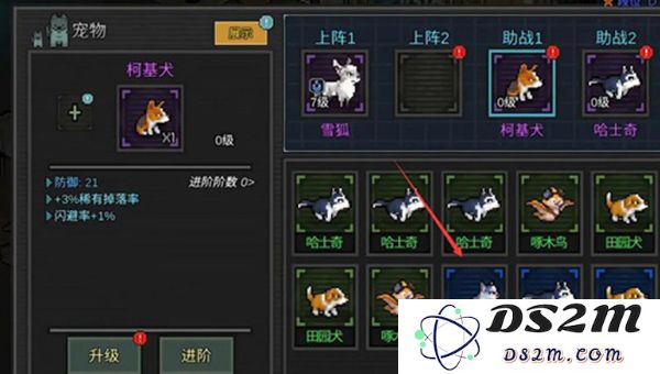 像素危城中文版宠物卸下来教程