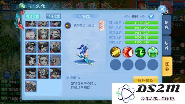 天书奇谈宠物系统攻略