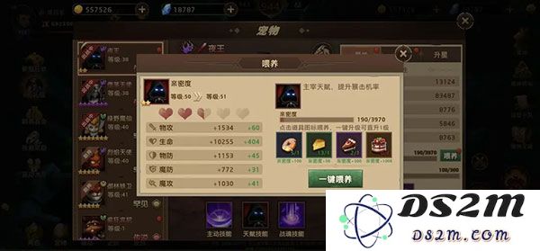 暗影之魂宠物提升等级方法