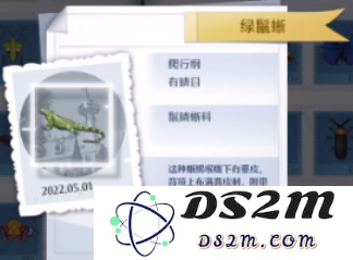 诺亚之心昆虫分布地点在哪 昆虫分布位置一览：探秘神秘世界中的昆虫家族！让你惊叹不已